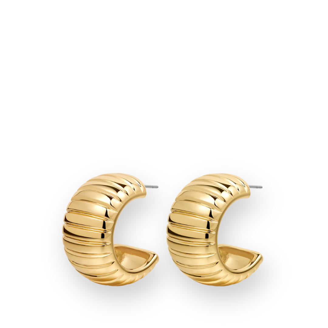 Luv aj hoop earrings clearance