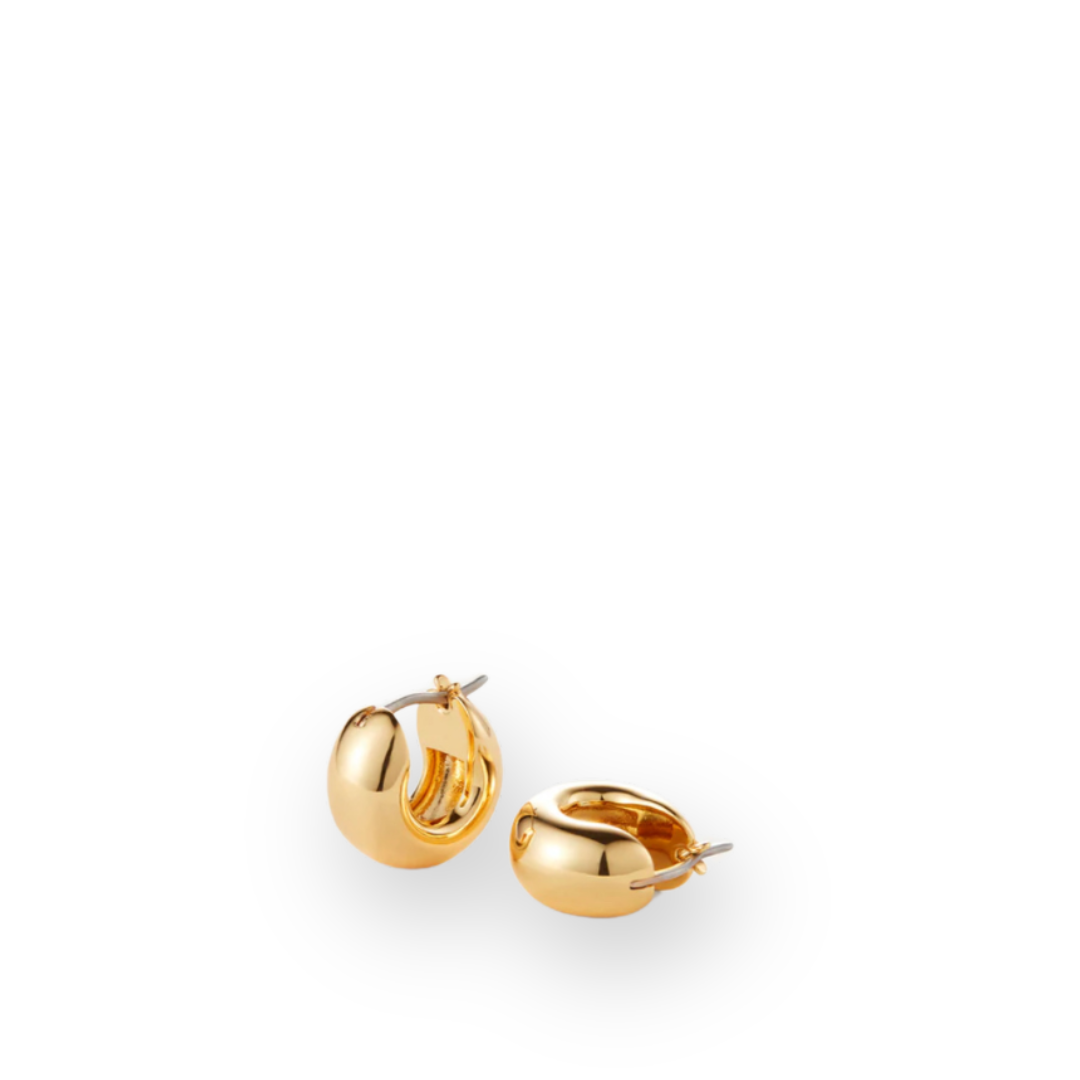 JENNY BIRD - MINI TOME HOOP EARRINGS