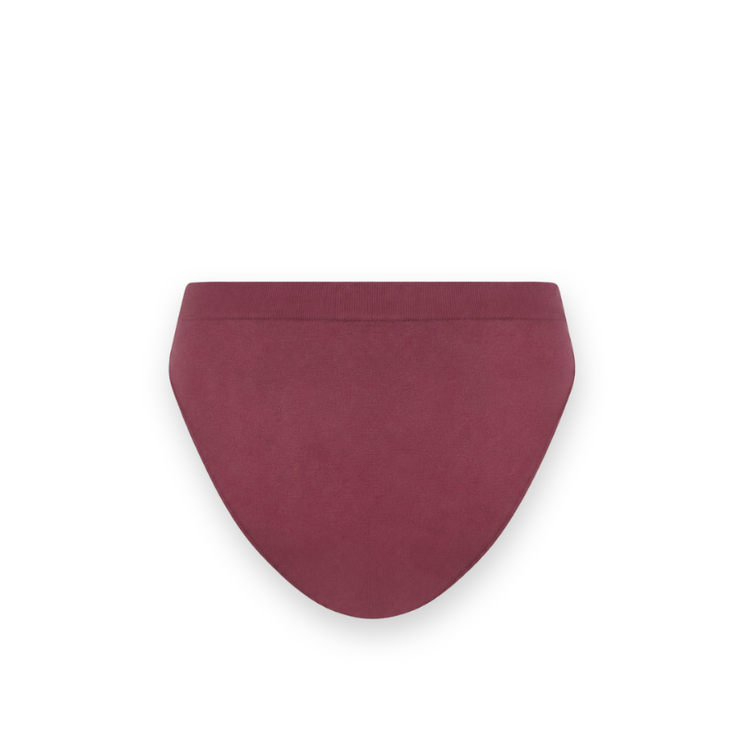 BOODY - CLASSIC BIKINI UNDERWEAR IN ROSEWOOD
