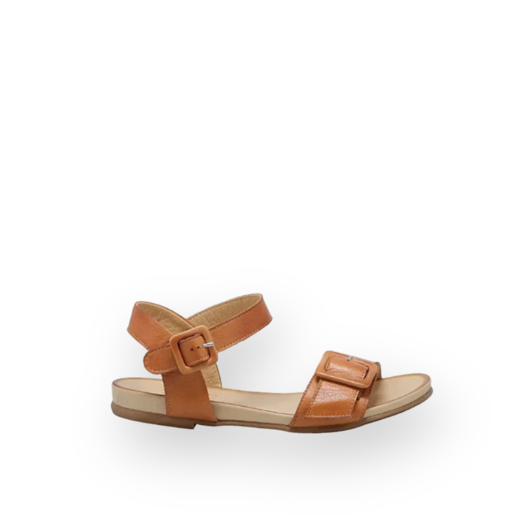 Your Shopping Cart – the Urban Shoe Myth