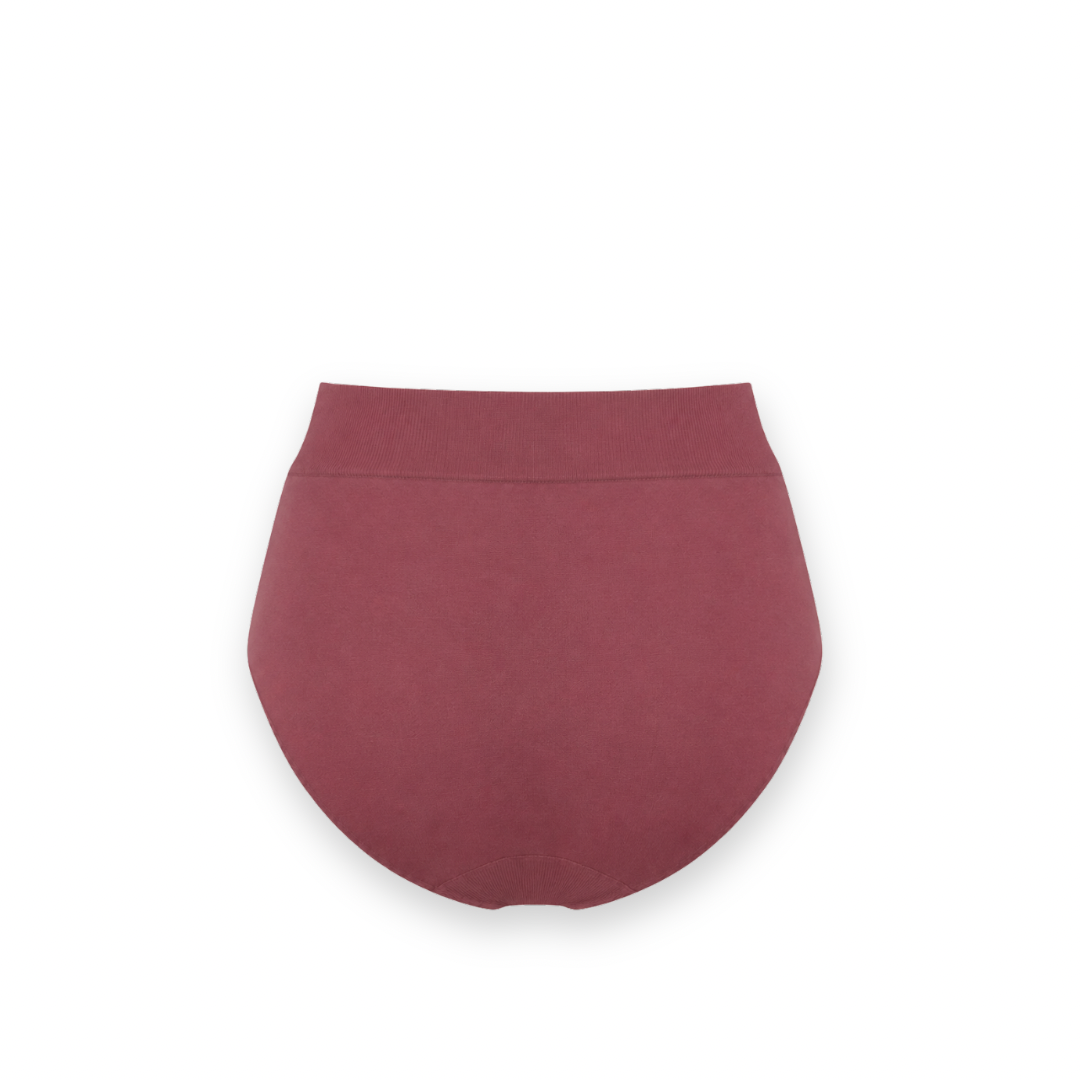 BOODY - FULL BRIEF UNDERWEAR IN ROSEWOOD