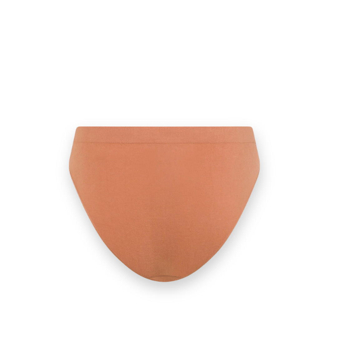 BOODY - CLASSIC BIKINI UNDERWEAR IN DUNE