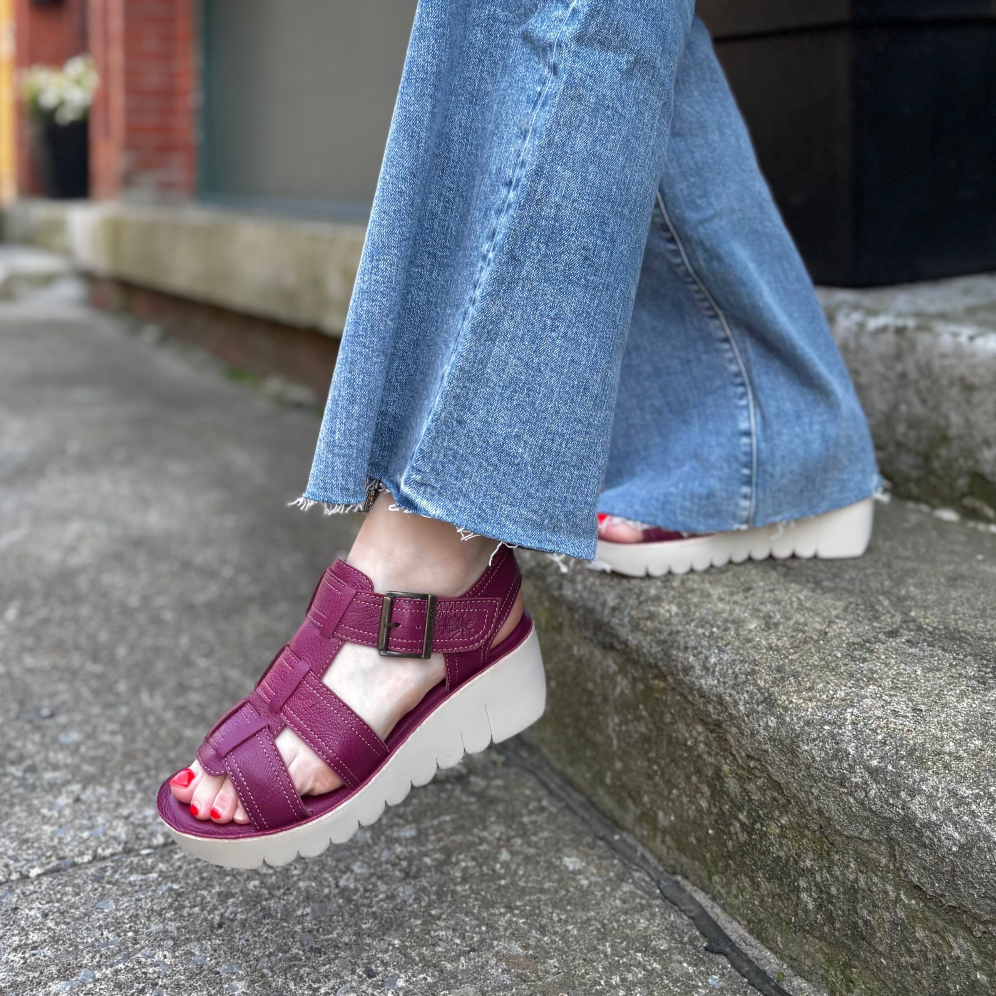 Biso Wedge Fly London Baxe428Fly Women's Stylish Wedge Shoes