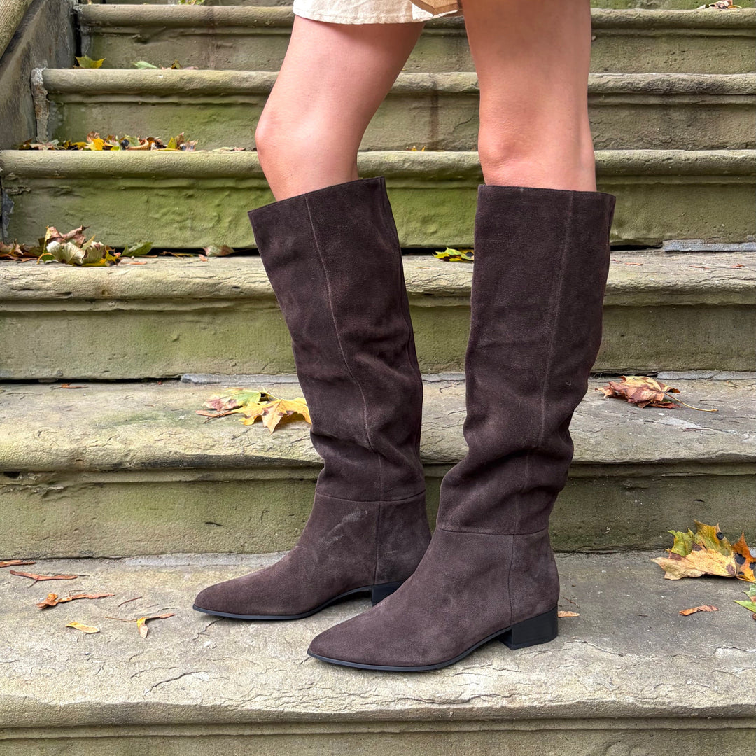 MOLLINI - SABASTI TALL BOOT IN CHOCOLATE SUEDE