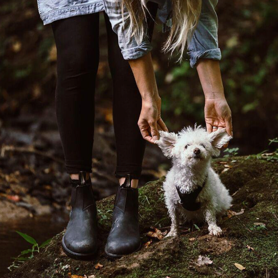 BLUNDSTONE 558 CLASSIC IN BLACK