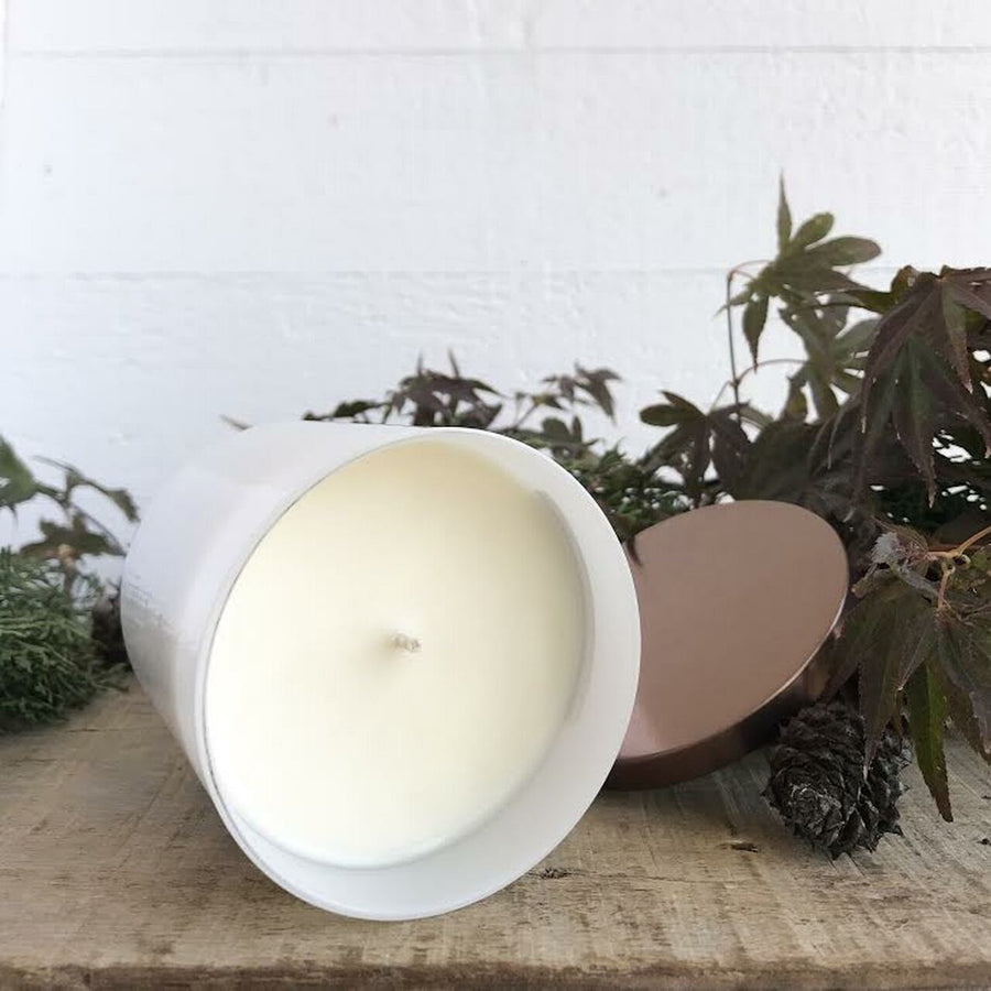 FARM KITCHEN CANDLE CO - SINGLE WICK SOY CANDLE IN CINNAMON VANILLA